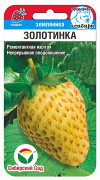 Земляника Золотинка