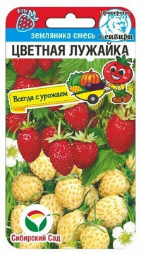 Земляника Цветная лужайка