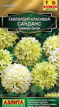 Гайлардия Санданс кремово-белая