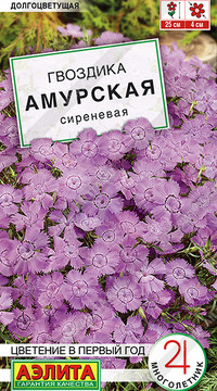 Гвоздика Амурская сиреневая