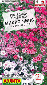 Гвоздика Микро чипс многолетняя