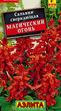 Сальвия Магический огонь