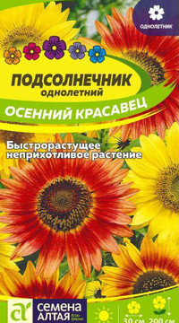 ПОДСОЛНЕЧНИК ОСЕННИЙ КРАСАВЕЦ