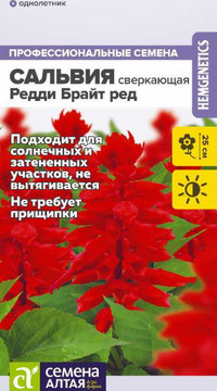 САЛЬВИЯ РЕДДИ БРАЙТ РЕД СВЕРКАЮЩАЯ
