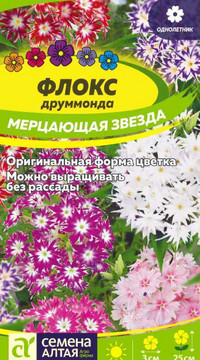 ФЛОКС МЕРЦАЮЩАЯ ЗВЕЗДА
