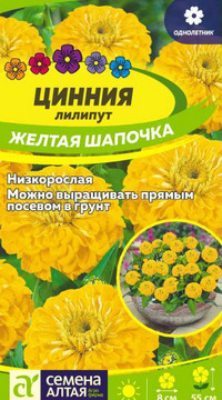 ЦИННИЯ ЛИЛИПУТ ЖЕЛТАЯ ШАПОЧКА