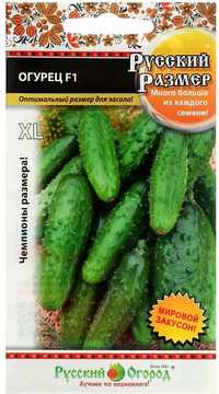 Огурец Русский Размер XL F1
