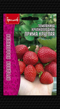 Земляника Прима Круглая крупноплодная