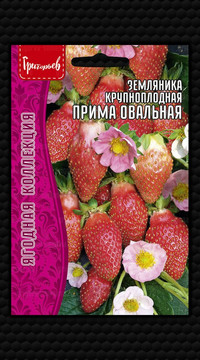 Земляника Прима Овальная крупноплодная