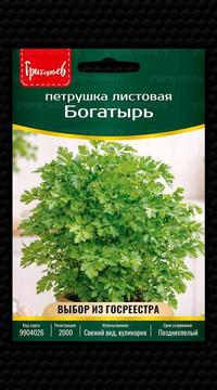 Петрушка Богатырь листовая