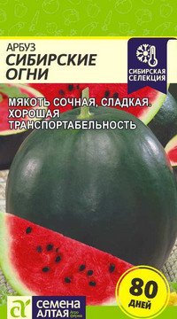 Арбуз Сибирские Огни Семена Алтая