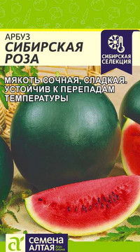 Арбуз Сибирская Роза