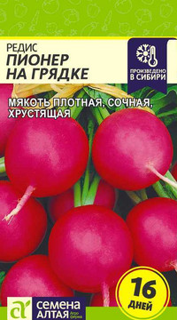 Редис Пионер на Грядке