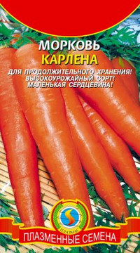 Морковь КАРЛЕНА