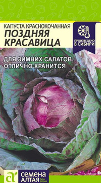 КАПУСТА КРАСНОКОЧАННАЯ ПОЗДНЯЯ КРАСАВИЦА