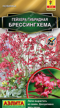 Гейхера гибридная Брессингхема