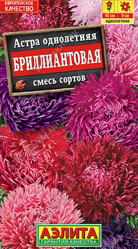 Астра Бриллиантовая