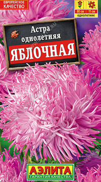 Астра Яблочная