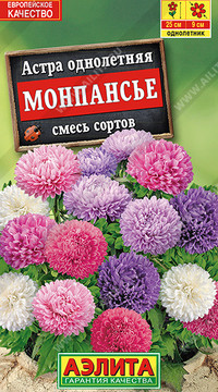 Астра Монпансье, смесь сортов