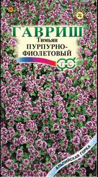 Тимьян пурпурно-фиолетовый