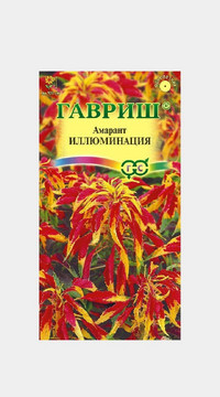 Амарант Иллюминация