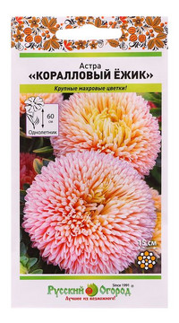 Астра Коралловый ежик срок 01.2026