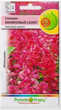 Сальвия F1 Малиновый салют