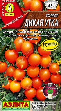Томат Дикая утка