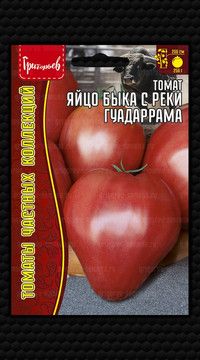 Томат Яйцо Быка с Реки Гуадаррама