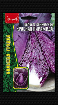 Капуста краснокочанная Красная Пирамида коническая