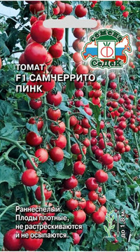 Томат Самчеррито пинк F1