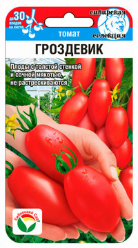 Томат Гроздевик
