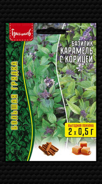 Базилик Карамель с Корицей