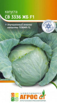 Капуста СВ 3336 ЖБ F1