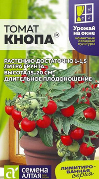 Томат Кнопа