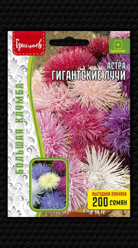 Астра Гигантские Лучи Cмесь