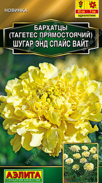 Бархатцы Шугар энд спайс вайт (прямостоячие)