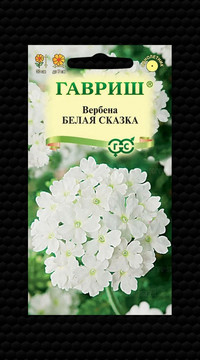 Вербена Белая сказка гибридная