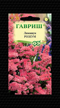 Кермек Розеум выемчатый