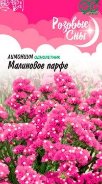 Кермек выемчатый (Лимониум) Малиновое парфе