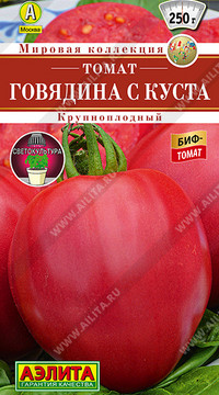Томат Говядина с куста