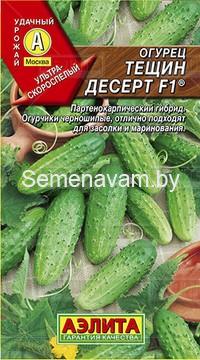 Огурец Тещин десерт F1