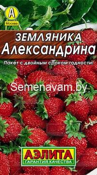 Земляника Александрина