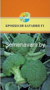 Капуста Брокколи Батавия F1