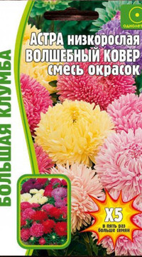 Астра Волшебный ковер