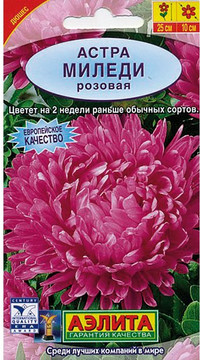 Астра Миледи розовая