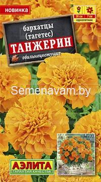 Бархатцы (тагетес) Танжерин обильноцветущие