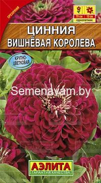 Цинния Вишневая королева