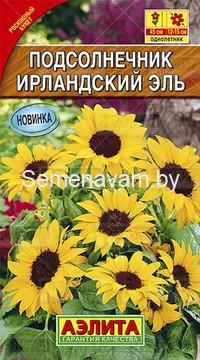 Подсолнечник Ирландский эль