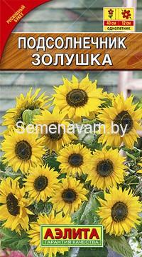 Подсолнечник Золушка